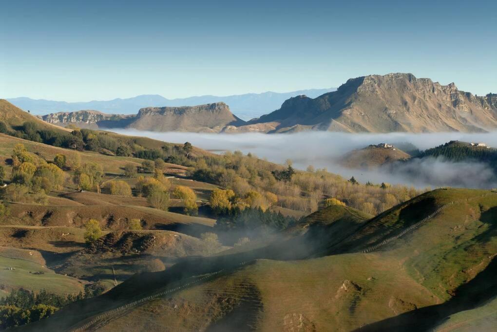 Cape South Estate - International Award-Winning Country Estate With Pacific Views Havelock North Kültér fotó