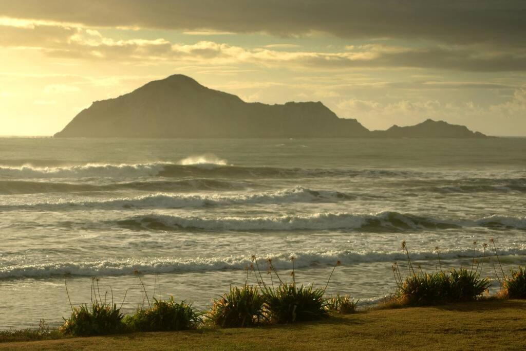 Cape South Estate - International Award-Winning Country Estate With Pacific Views Havelock North Kültér fotó