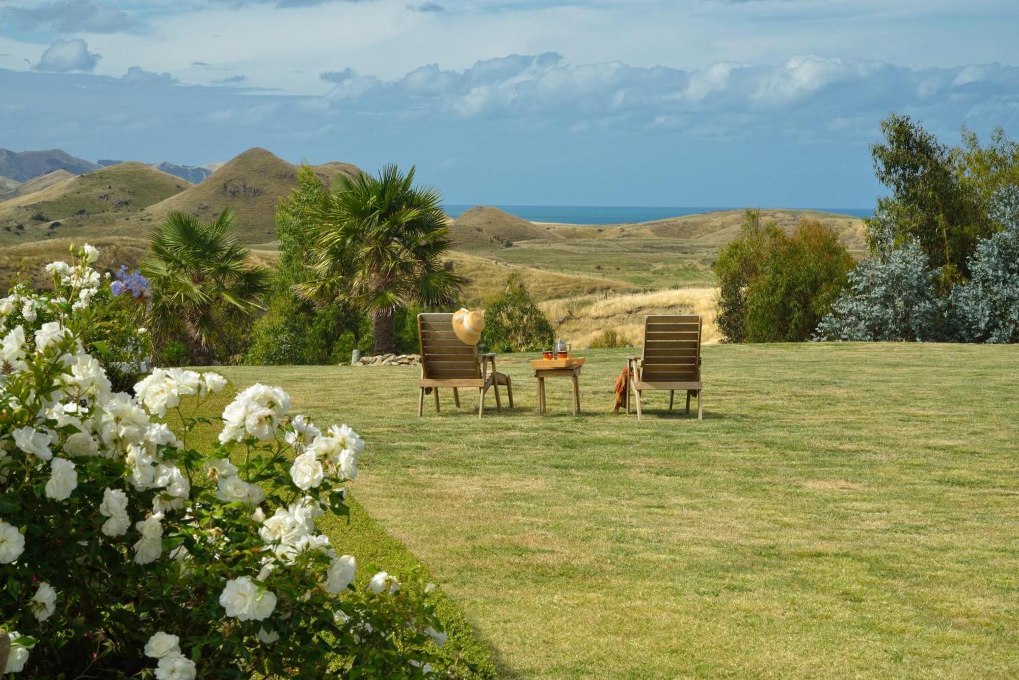 Cape South Estate - International Award-Winning Country Estate With Pacific Views Havelock North Kültér fotó